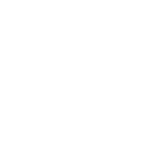 Imagine_Canada_reverse-bw_digital-rgb-web_519x519