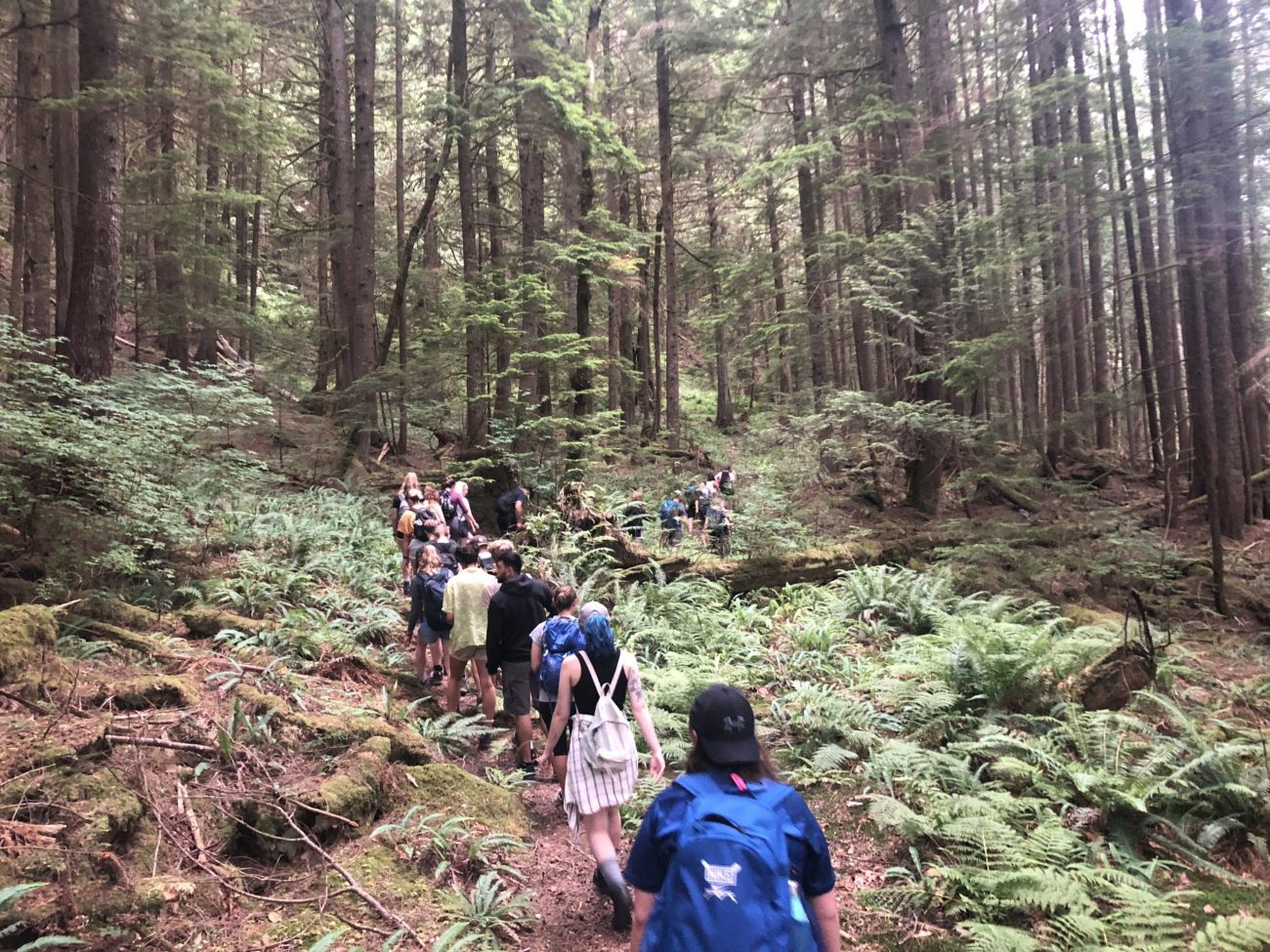 Group Hike
