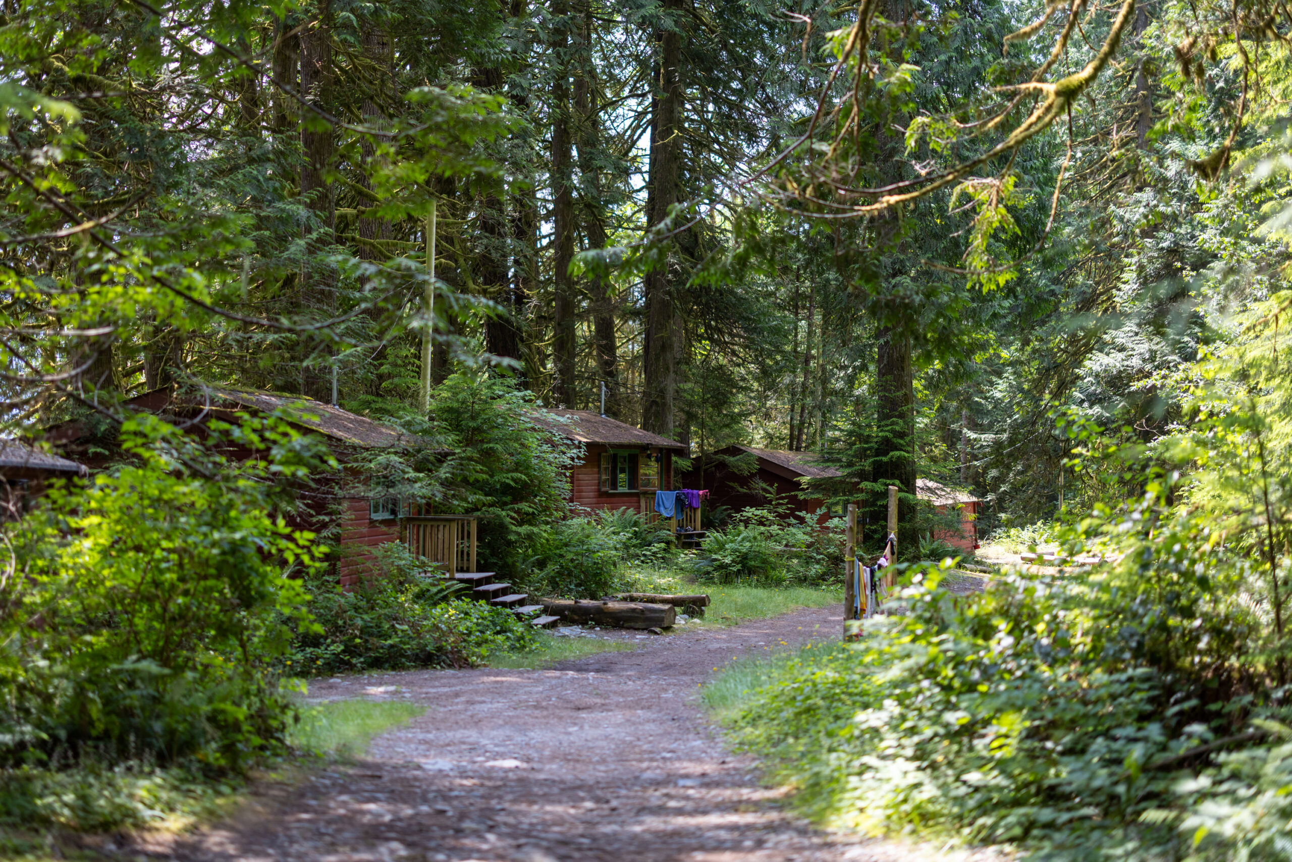 Lower Village Cabins